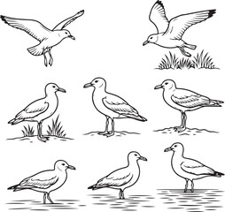 Obraz premium A cute vector collection and seamless pattern set featuring cartoon bird illustrations like owls, ducks, and sparrows with artistic wings and feathers in a wild nature design