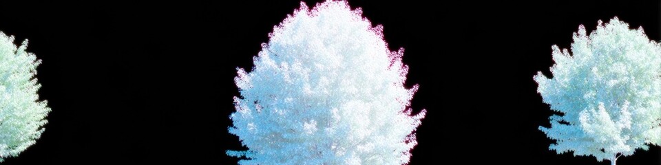 Obraz premium Maple tree with detailed leaves isolated on black background for architectural visualization and garden landscape planning featuring teal and pink highlights
