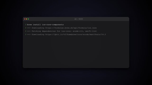 animation of Terminal installation