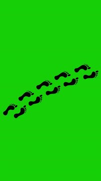 Human Footprint Walk Animation Green Screen 4K Loop