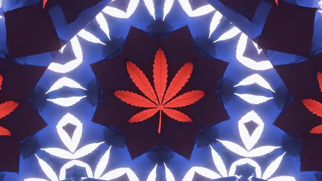 Seamless loop of geometric motion graphics creating abstract patterns using stylized hemp leaves and buds cycling through vibrant red white and blue colors modern, clean, future