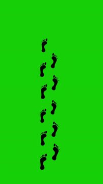Human Footprint Walk Animation Green Screen 4K Loop