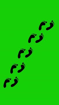 Human Footprint Walk Animation Green Screen 4K Loop