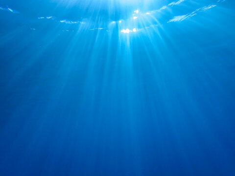 Ocean blue underwater with sunrays, Underwater Sea Deep Water Abstract Sunshine, sea wave , clean waters in summer time, Natural underwater seascape, sand on ocean floor and water surface sunlight.