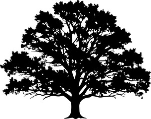 Fototapeta premium Oak tree silhouette vector illustration