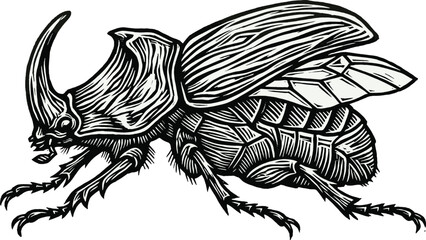 Detailed rhinoceros beetle illustration, black and white insect engraving style artwork, vintage entomology sketch, decorative wildlife vector design © LITON WORLD