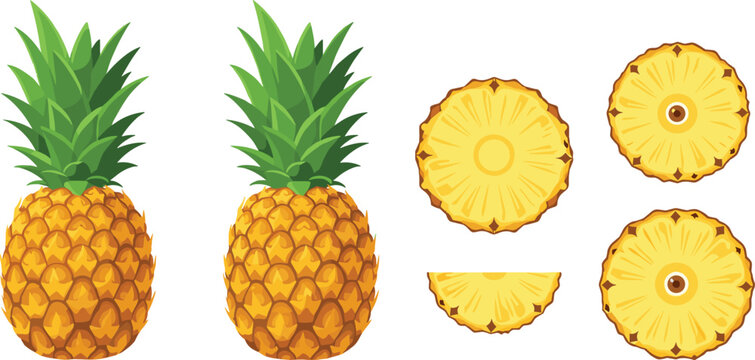 Pineapple fruit vector illustration set featuring whole tropical pineapples and sliced rings, fresh yellow produce icons for healthy food design