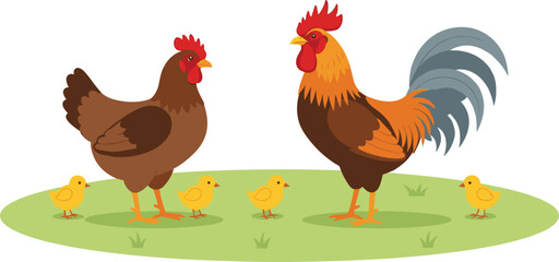 Rooster hen and chicks vector illustration featuring farm poultry family on grass field, countryside barnyard animals, and rural farming scene © MdAbdul