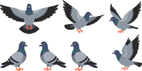 Obraz premium Pigeon bird vector illustration set featuring flying and standing city doves, urban wildlife animals, and realistic cartoon avian poses collection