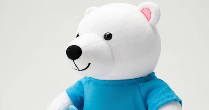 Plush polar bear toy wearing a blue shirt, holding a fish, set against a clean white background