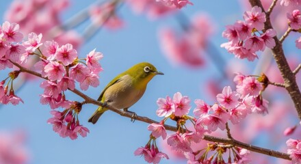 Vibrant green bird perched on blooming cherry blossom branch