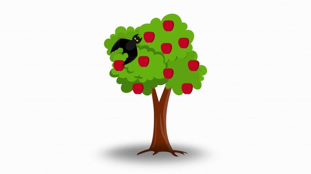 Nipah virus transmission animation showing infection from bats contaminating fruit and pigs to human infection. Educational medical video explaining zoonotic disease spread and public health risk