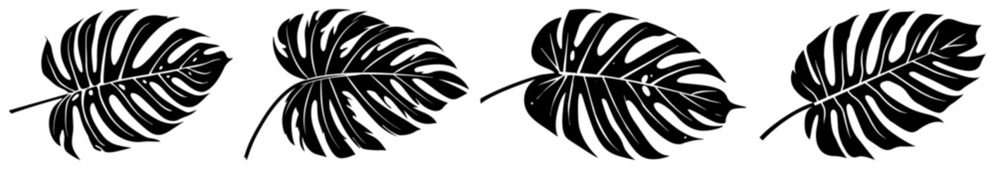Row of stylized black monstera leaves forming a tropical nature border © Aisha Kudorova