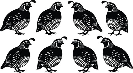 Stylized Black and White Vector Illustration of Quails in Profile View with Distinctive Feather Patterns and Head Plumes for Wildlife and Nature Design Themes