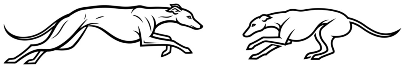 Running greyhound dogs in dynamic black and white line art style © Aisha Kudorova