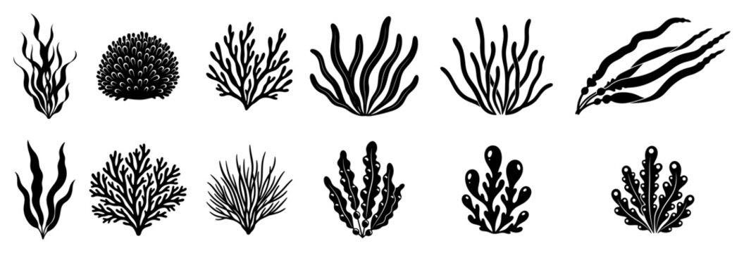 Collection of black seaweed and underwater plant silhouettes