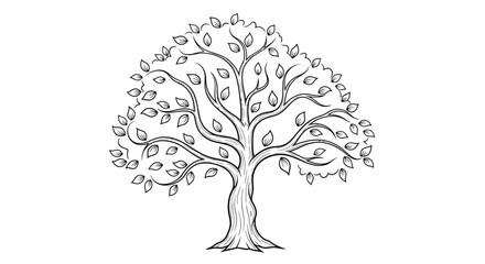 Fototapeta premium Large deciduous tree with detailed leaves and roots line art