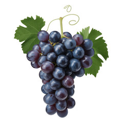 Fototapeta premium A fresh bunch of dark purple grapes with green leaves and a vine stem, isolated on transparent background