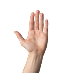 Human hand palm facing forward, isolated on white background
