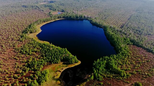 Cinematic drone shot, Akacis Lake surrounded by forest, Kemeri National Park