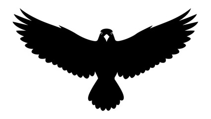 Bird flying with outstretched wings against white background