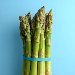 Fresh green asparagus bunch