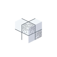 Cube with Circuit Pattern and Straps