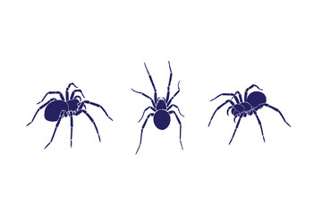 Set of black Widow spider. Various positions. Every spider is isolated. Deadly venomous spider. Hand drawn Vector illustration. silhouette, icon, design elements template