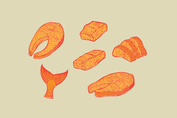 Set of sliced tasty fresh Salmon. Raw fillet on skin, red fish pieces, sashimi slices, steak, tail. Hand drawn crayon doodle trendy Vector illustration. Unique style. Healthy food concept