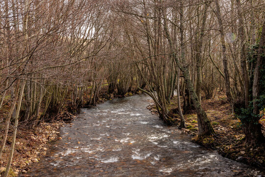 Duerna River and riverside trees during winter. Bois&aacute;n, Sierra del Teleno, Le&oacute;n, Spain.