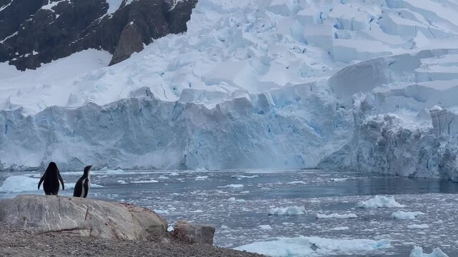 Glacier Calving into Antarctic Ocean with Penguins