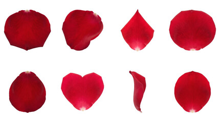Fototapeta premium Red rose petals set including various shapes, heart, side view, and curved positions isolated. Romantic floral collection for wedding and valentines day.