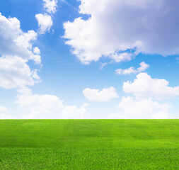 Fototapeta premium 緑の草原と青空