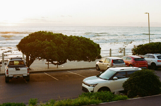 Cars parked near ocean waves with a wind blown tree at sunset