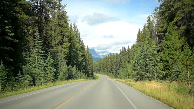 Bumpy drive on road with forest and mountains in Banff National Park