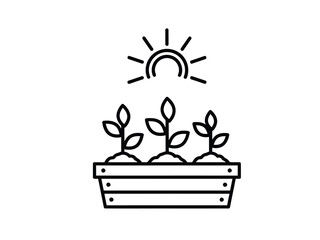 Seedlings in a Planter Box with Sun Icon - Growth and Gardening
