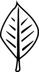 葉脈のある葉のアウトライン白黒線画イラスト 透明背景