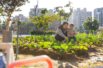 Mother carrying baby at organic farm field