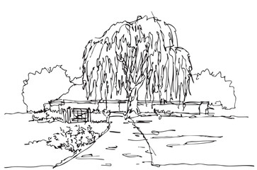 Obraz premium line sketch landscape willow at the end of the garden