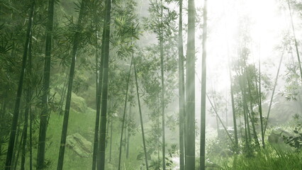 In a tranquil bamboo grove, sunlight cascades through the tall stalks, illuminating the vibrant greens. Mist hangs in the air, creating a peaceful and enchanting environment. © icetray