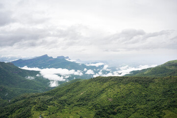 Mountain landscape in Kookal, Palani Hills of the Western Ghats, Tamil Nadu, featuring rare shola...