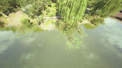 Calm waters gently reflect the greenery surrounding a riverbank. Tall trees and delicate plants create a tranquil atmosphere, making it a perfect spot for relaxation and nature appreciation.