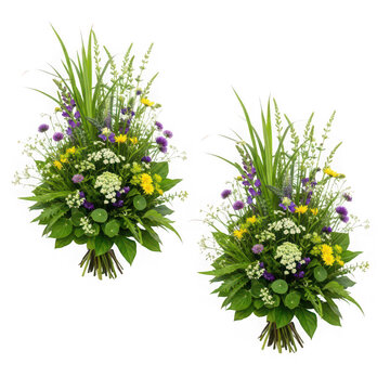 Two realistic wildflower bouquets with varying blooms on transparent background