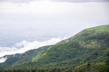Obraz premium Mountain landscape in Kookal, Palani Hills of the Western Ghats, Tamil Nadu, featuring rare shola forest trees like Palani Hills Rudraksha, grasslands, pines, and layered monsoon clouds.