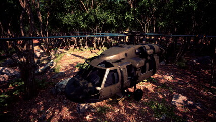 A military helicopter is parked quietly among tall trees in a vibrant forest setting. Sunlight filters through the leaves, casting patterns on the ground.