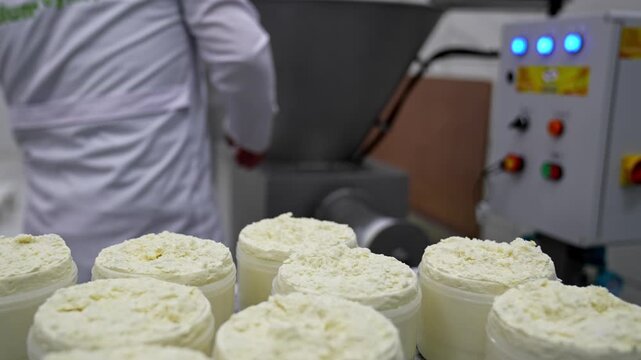 Close-up of Turkish tulum cheese filling and packaging on a production line. Food manufacturing and traditional Anatolian cheese concept footage.