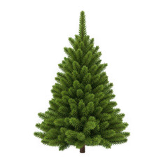 A realistic digitally rendered evergreen tree isolated on transparent background