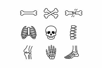 Icon set depicting various human bones in simplified line art style