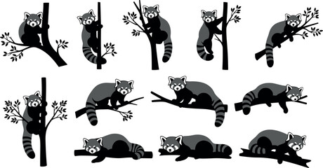 Obraz premium Cute red panda illustrations collection showing playful and sleeping poses on tree branches, wildlife animal cartoon icons set isolated on white background