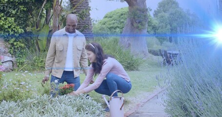 Tending couple in pink top, beige jacket caring for flower bed in private garden, watering can